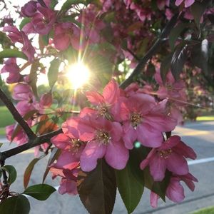 Meet your Posher, Joanna